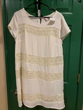 Cream Lace Stripe Short Sleeve Dress